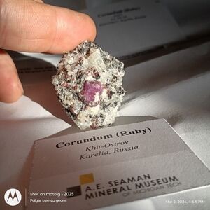 Corundum(Ruby)Khit-Ostrov Karelea, Russia | Mineralogical Geological Collectors